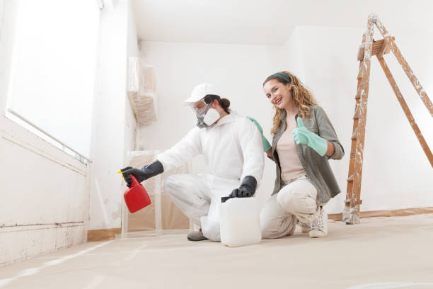 Best Mold Remediation for Rental Properties  in USA